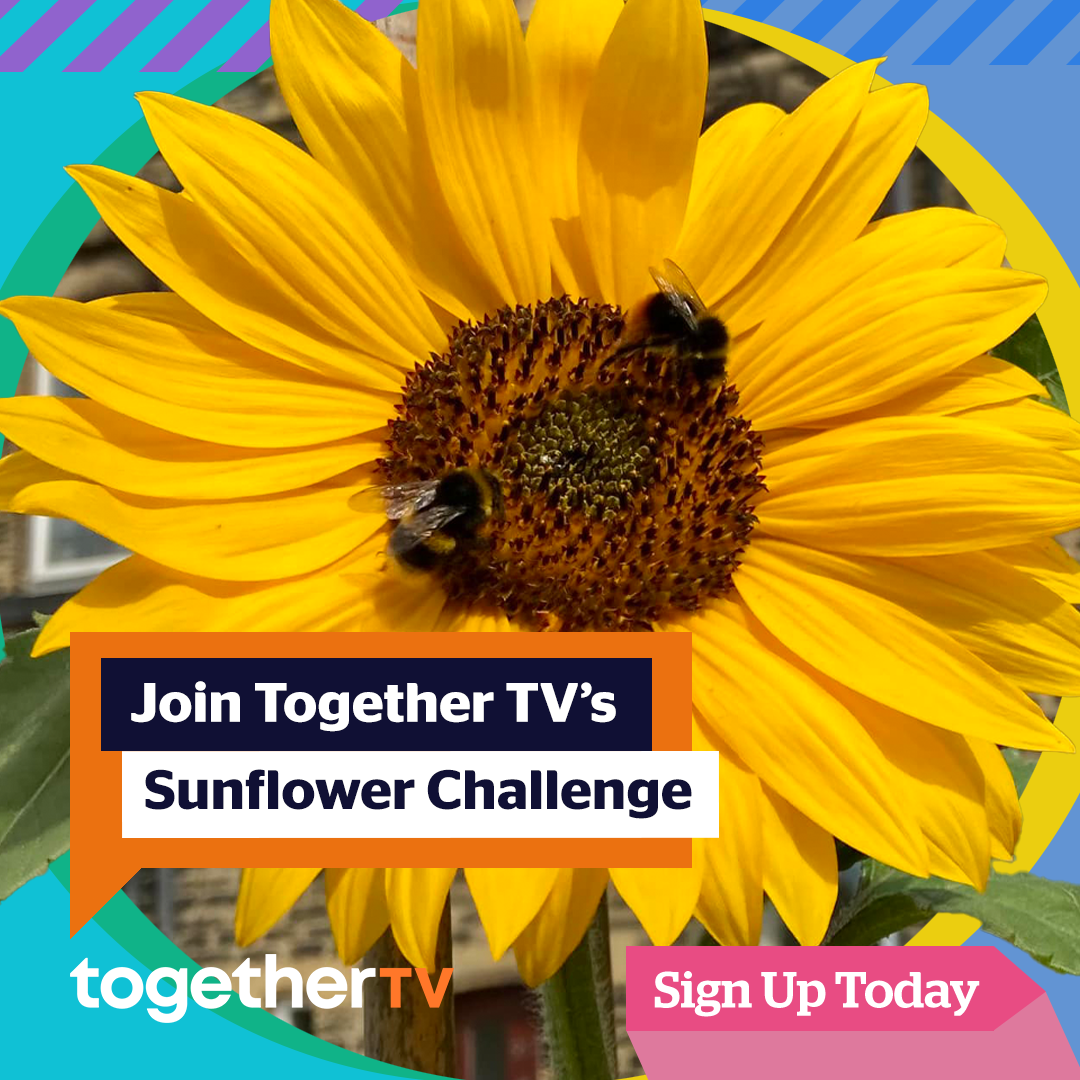 Together TV Sunflower Challenge 2023 Toolkit to Together TV